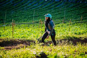 BIB: 
                            <button type="button" onclick="openModal(19160230)" class="btn btn-primary btn-sm float-right btn-popup" data-toggle="modal" data-target=".modal-high-quality">
                        <i class="fas fa-shopping-cart"></i> Add to Cart
                    </button>
                                            <button type="button" onclick="isThisMe(19160230, true)" class="btn btn-success btn-sm float-right btn-popup btn-isme hidden" data-toggle="tooltip" data-placement="bottom" title="นี่คือรูปของคุณใช่ไหม คลิกที่นี่เพื่อเอาเข้าอัลบั้ม">
                        <i class="fas fa-plus"></i> Add to album
                    </button>
                    <button type="button" onclick="isThisMe(19160230, false)" class="btn btn-warning btn-sm float-right btn-popup btn-isnotme hidden">
                        <i class="fas fa-ban"></i> Remove from album
                    </button>